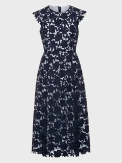 Cheap Hobbs Pheobe Lace Dress Pale Blue Navy