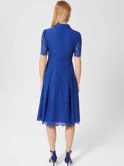 Fashion Hobbs Rebecca Lace Dress Cobalt Blue