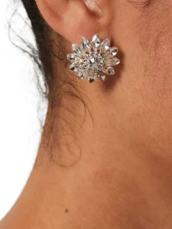 New Hobbs Tina Earrings Silver